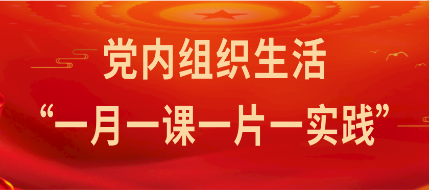 党内组织生活  一课一片一实践