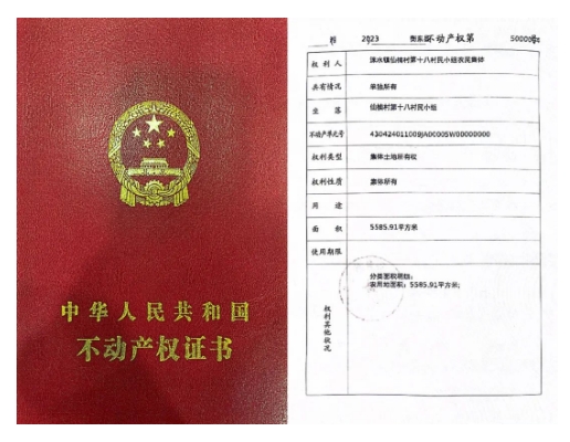 微信截图_20231023205646