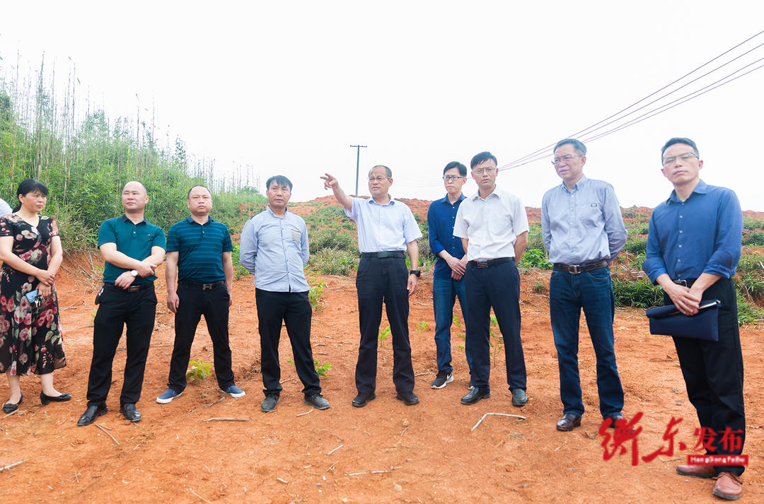 衡东县人民政府门户网站