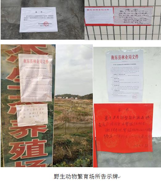 排查人口肺炎_新冠肺炎图片(3)